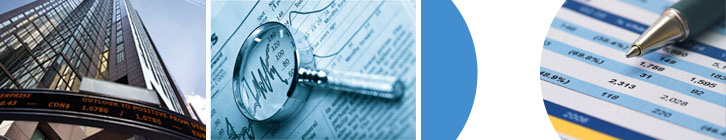 Investor Intelligence Specialists