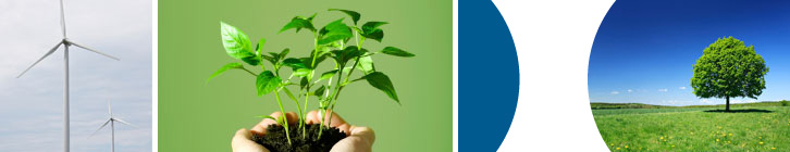 Sustainability Services and reporting